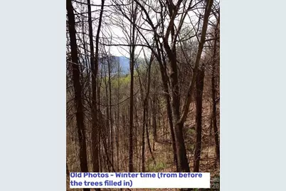 1000 Yonah Trail #7, Waynesville, NC 28785 - Photo 17