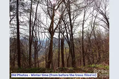 1000 Yonah Trail #7, Waynesville, NC 28785 - Photo 3