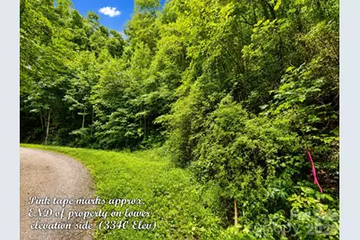 1000 Yonah Trail #7, Waynesville, NC 28785 - Photo 7