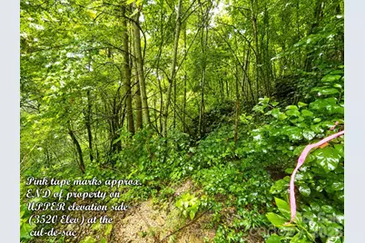 1000 Yonah Trail #7, Waynesville, NC 28785 - Photo 15