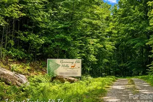 1000 Yonah Trail, Waynesville, NC 28785 - Photo 1