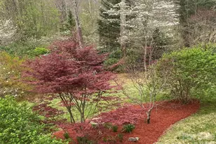 43 Red Oak Dr, Maggie Valley, NC 28751 - Photo 45