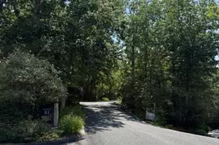 81 Stoney Falls Loop, Burnsville, NC 28714 - Photo 3