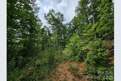 98 Down To Earth Drive #98, Burnsville, NC 28714 - Photo 21