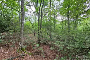 98 Down To Earth Dr, Burnsville, NC 28714 - Photo 1