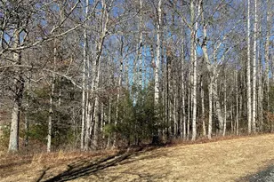 Tbd Bear Den Rd, Sparta, NC 28675 - Photo 1