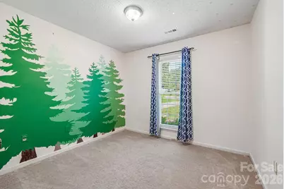 13942 Dannemara Drive, Pineville, NC 28134 - Photo 17