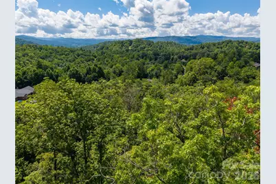 000 Miracle Valley, Pisgah Forest, NC 28768 - Photo 7