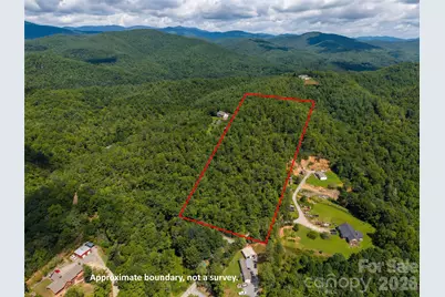 000 Miracle Valley, Pisgah Forest, NC 28768 - Photo 9