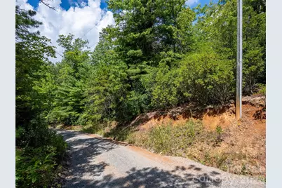 000 Miracle Valley, Pisgah Forest, NC 28768 - Photo 5