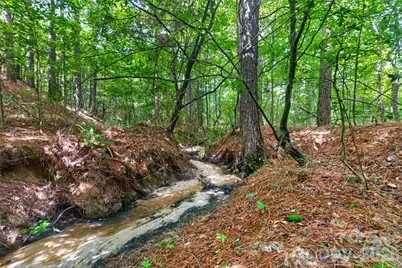 0000 Westbrook Road #5, Edgemoor, SC 29712 - Photo 3
