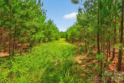 0000 Westbrook Road #5, Edgemoor, SC 29712 - Photo 7