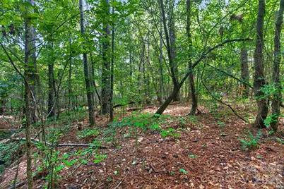 0000 Westbrook Road #5, Edgemoor, SC 29712 - Photo 41