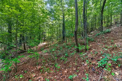 0000 Westbrook Road #5, Edgemoor, SC 29712 - Photo 43