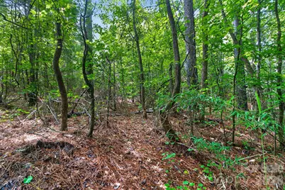 0000 Westbrook Road #5, Edgemoor, SC 29712 - Photo 15