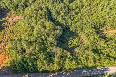 307 Rc Road, Traphill, NC 28685 - Photo 3