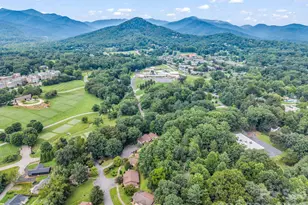 7 Woodlands Dr, Black Mountain, NC 28711 - Photo 21
