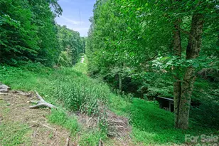 9851 Double Island Rd, Green Mountain, NC 28740 - Photo 27