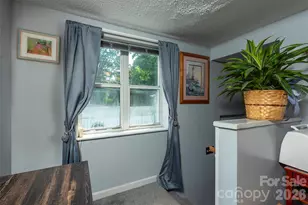 8 First St, Asheville, NC 28803 - Photo 7