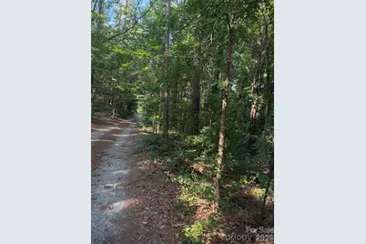 202 Horseshoe Lake Road, Mount Holly, NC 28120 - Photo 9