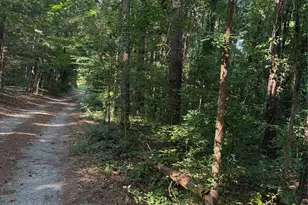 202 Horseshoe Lake Rd, Mount Holly, NC 28120 - Photo 9