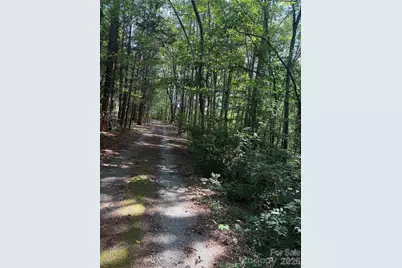 202 Horseshoe Lake Road, Mount Holly, NC 28120 - Photo 3