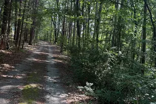 202 Horseshoe Lake Rd, Mount Holly, NC 28120 - Photo 3