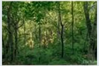 Lot 28 Rushing Falls Way, Bryson City, NC 28713 - Photo 11
