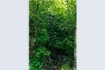 Lot 28 Rushing Falls Way, Bryson City, NC 28713 - Photo 19
