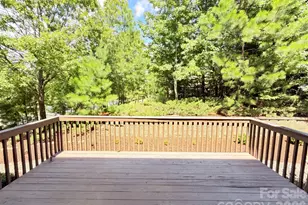 9928 Daufuskie Dr, Charlotte, NC 28278 - Photo 25