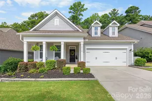 14114 Goldenrod Trace Rd, Charlotte, NC 28278 - Photo 1