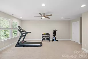 14114 Goldenrod Trace Rd, Charlotte, NC 28278 - Photo 29