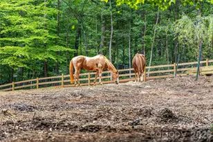 7105 Old Ridge Rd, Waxhaw, NC 28173 - Photo 39