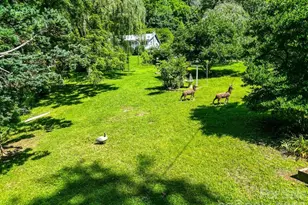 901 Rufus Robinson Rd, Sylva, NC 28779 - Photo 25