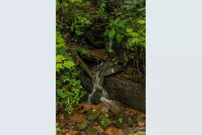 Lot36/37 Falls View Drive, Bryson City, NC 28713 - Photo 25