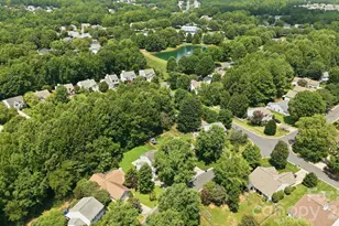 1406 Juniper Hills Ln, Indian Land, SC 29707 - Photo 43
