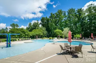 6135 Snowy Egret Ave, Charlotte, NC 28214 - Photo 31