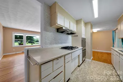 217 S Hillandale Drive, East Flat Rock, NC 28726 - Photo 17