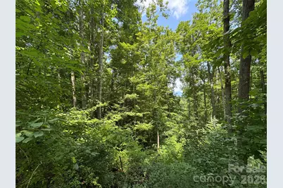 97 High Hickory Trail #2, Swannanoa, NC 28778 - Photo 9