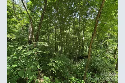 97 High Hickory Trail #2, Swannanoa, NC 28778 - Photo 13
