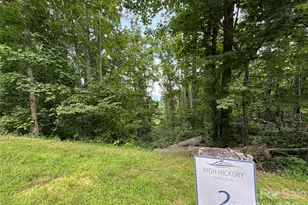 97 High Hickory Trail, Swannanoa, NC 28778 - Photo 1