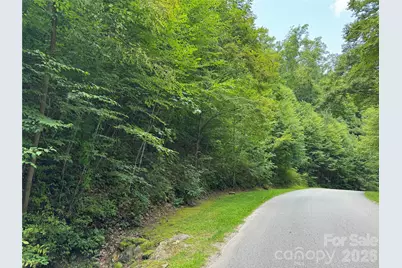 97 High Hickory Trail #2, Swannanoa, NC 28778 - Photo 3