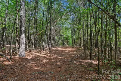 2223 Camp Creek Road, Lancaster, SC 29720 - Photo 5