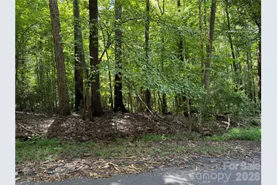 .99 Acres Hwy 321 Bypass, York, SC 29745 - Photo 3