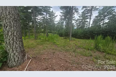 1884 Coveside Drive, Granite Falls, NC 28630 - Photo 5