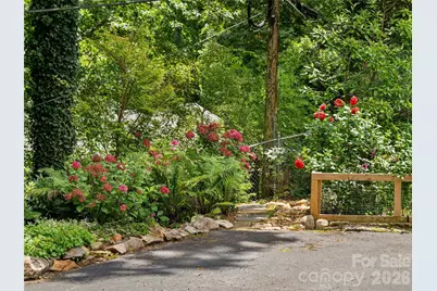 14 Griffing Boulevard, Asheville, NC 28804 - Photo 41