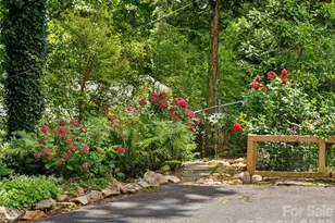 14 Griffing Blvd, Asheville, NC 28804 - Photo 41