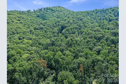 270 Dana Road, Green Mountain, NC 28740 - Photo 37
