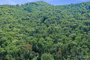 270 Dana Rd, Green Mountain, NC 28740 - Photo 37