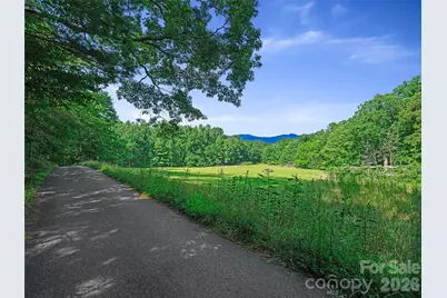 270 Dana Road, Green Mountain, NC 28740 - Photo 35